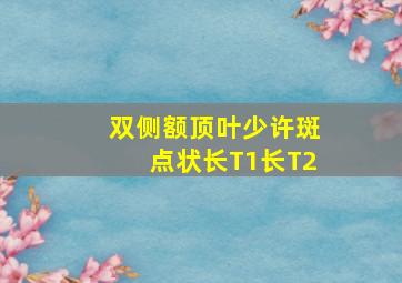 双侧额顶叶少许斑点状长T1长T2