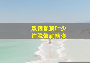 双侧额顶叶少许脱髓鞘病变