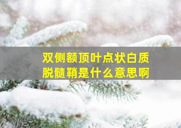 双侧额顶叶点状白质脱髓鞘是什么意思啊