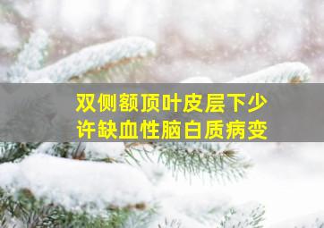 双侧额顶叶皮层下少许缺血性脑白质病变