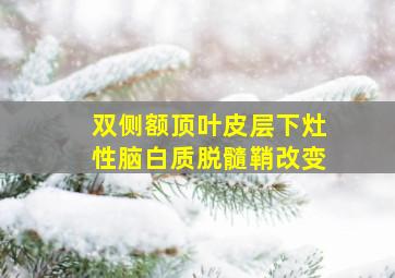 双侧额顶叶皮层下灶性脑白质脱髓鞘改变