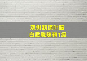 双侧额顶叶脑白质脱髓鞘1级