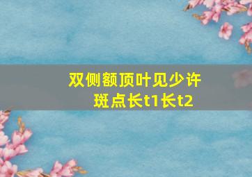 双侧额顶叶见少许斑点长t1长t2