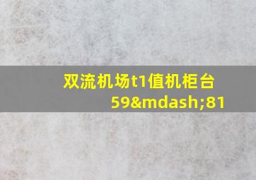 双流机场t1值机柜台59—81