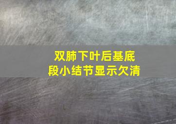 双肺下叶后基底段小结节显示欠清