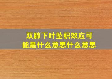 双肺下叶坠积效应可能是什么意思什么意思