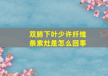 双肺下叶少许纤维条索灶是怎么回事