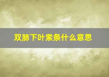 双肺下叶索条什么意思