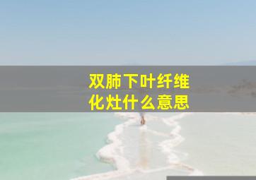 双肺下叶纤维化灶什么意思