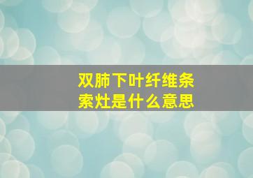 双肺下叶纤维条索灶是什么意思