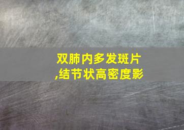 双肺内多发斑片,结节状高密度影