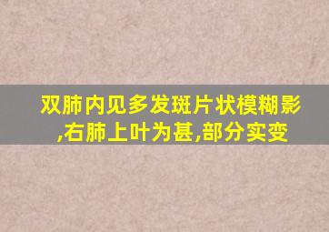 双肺内见多发斑片状模糊影,右肺上叶为甚,部分实变