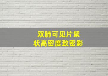 双肺可见片絮状高密度致密影