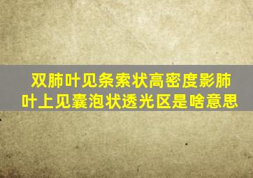 双肺叶见条索状高密度影肺叶上见囊泡状透光区是啥意思