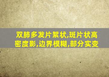 双肺多发片絮状,斑片状高密度影,边界模糊,部分实变