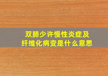 双肺少许慢性炎症及纤维化病变是什么意思