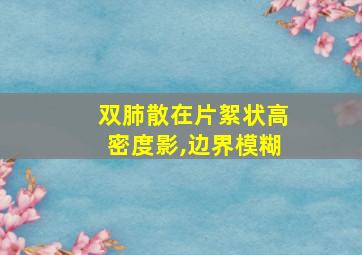 双肺散在片絮状高密度影,边界模糊