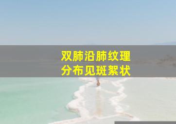 双肺沿肺纹理分布见斑絮状