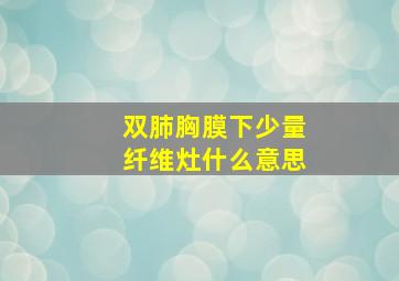 双肺胸膜下少量纤维灶什么意思