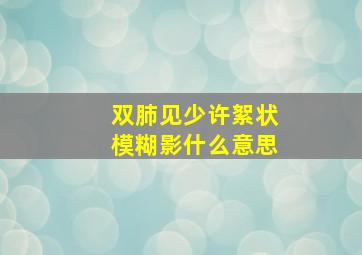 双肺见少许絮状模糊影什么意思