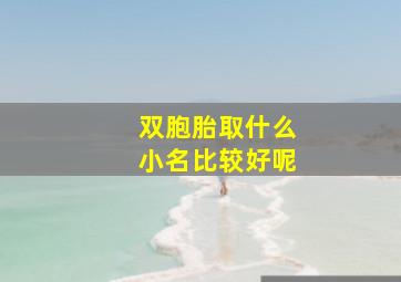 双胞胎取什么小名比较好呢