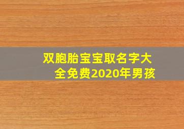 双胞胎宝宝取名字大全免费2020年男孩