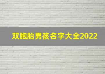 双胞胎男孩名字大全2022