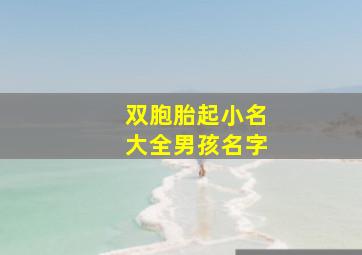 双胞胎起小名大全男孩名字