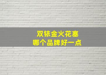 双铱金火花塞哪个品牌好一点