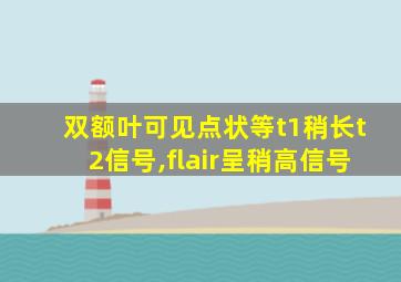 双额叶可见点状等t1稍长t2信号,flair呈稍高信号