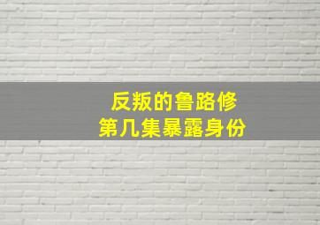 反叛的鲁路修第几集暴露身份