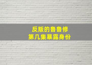 反叛的鲁鲁修第几集暴露身份