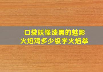 口袋妖怪漆黑的魅影火焰鸡多少级学火焰拳