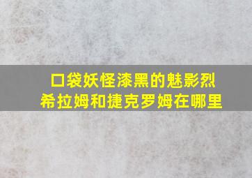 口袋妖怪漆黑的魅影烈希拉姆和捷克罗姆在哪里