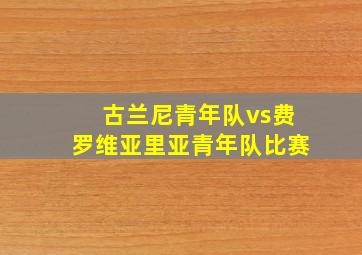 古兰尼青年队vs费罗维亚里亚青年队比赛