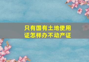 只有国有土地使用证怎样办不动产证