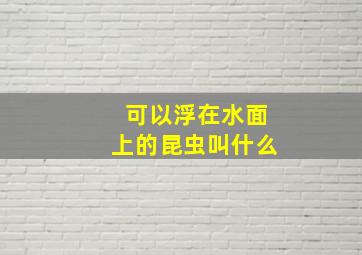 可以浮在水面上的昆虫叫什么