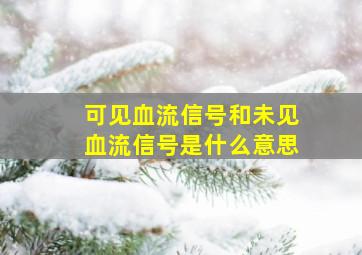 可见血流信号和未见血流信号是什么意思