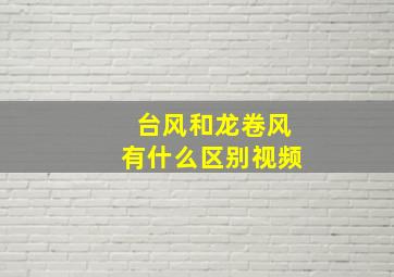 台风和龙卷风有什么区别视频