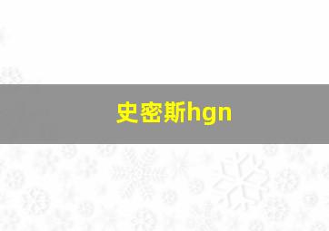 史密斯hgn