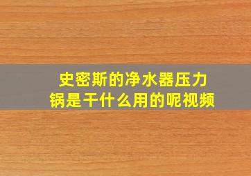 史密斯的净水器压力锅是干什么用的呢视频