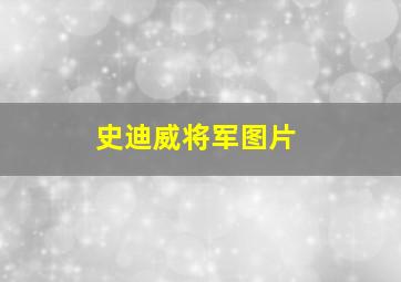 史迪威将军图片