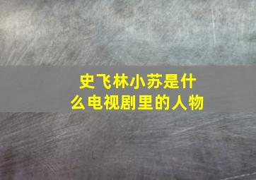 史飞林小苏是什么电视剧里的人物