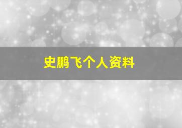 史鹏飞个人资料