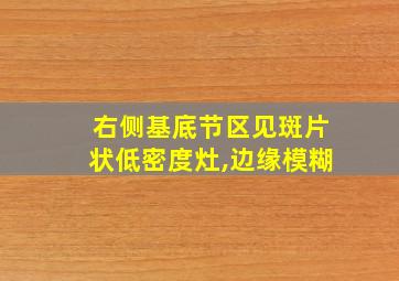 右侧基底节区见斑片状低密度灶,边缘模糊