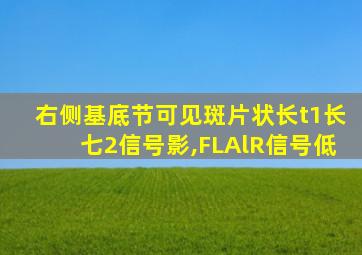 右侧基底节可见斑片状长t1长七2信号影,FLAlR信号低