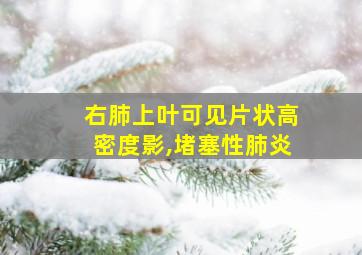 右肺上叶可见片状高密度影,堵塞性肺炎