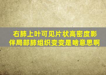 右肺上叶可见片状高密度影伴局部肺组织变变是啥意思啊