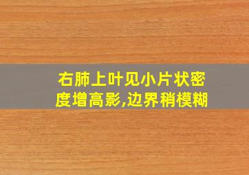 右肺上叶见小片状密度增高影,边界稍模糊