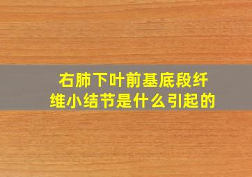 右肺下叶前基底段纤维小结节是什么引起的